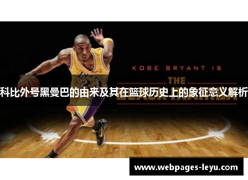 科比外号黑曼巴的由来及其在篮球历史上的象征意义解析
