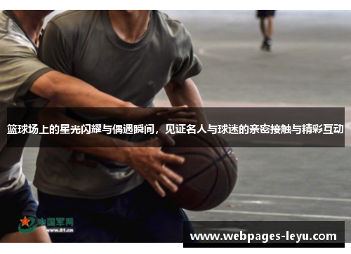 篮球场上的星光闪耀与偶遇瞬间，见证名人与球迷的亲密接触与精彩互动
