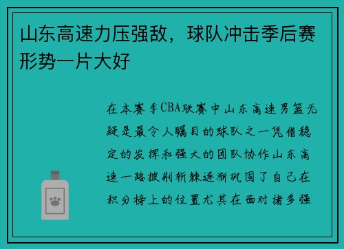 山东高速力压强敌，球队冲击季后赛形势一片大好